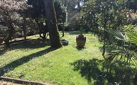 Old Town In The Green: Federico'S Apartment.